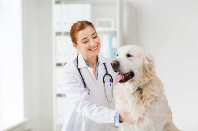 Teste de Adenovírus em Cachorros Agendar Nova Venécia - Teste de Clostridium em Animais