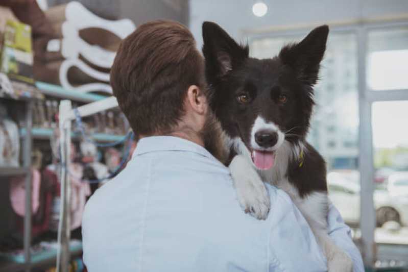 Teste de Leishmaniose em Cães Agendar Paulinia - Teste para Leishmaniose Canina