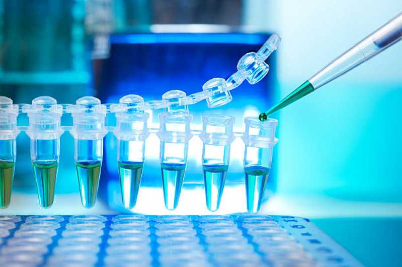 Teste de Micoplasma em Cultivo Celular Empresa Santa Barbara do Oeste - Teste Micoplasma em Cultivo Celular