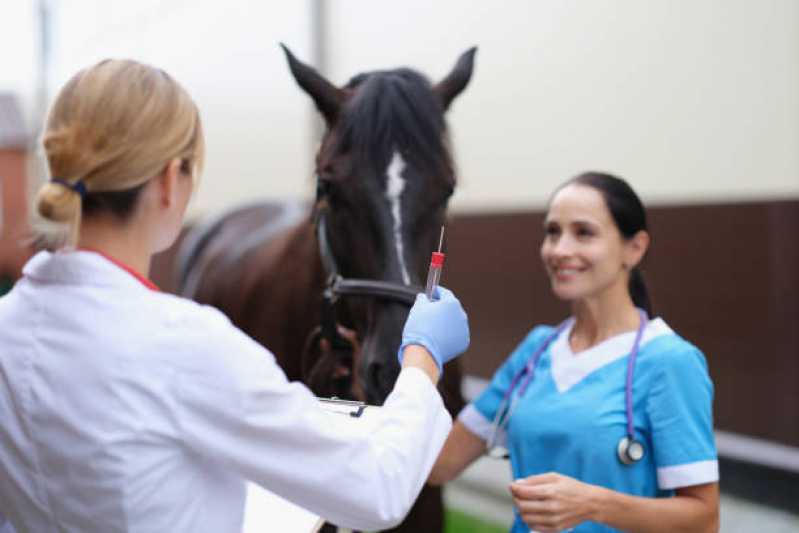Teste Genético em Cavalos Clínica Tanguá - Teste de Hypp em Equinos