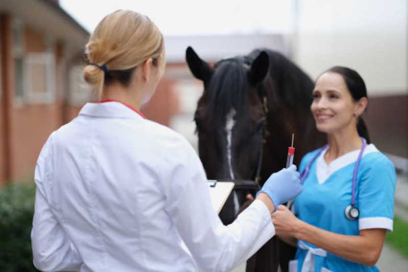 Teste Genético em Cavalos de Trabalho Agendar São João das Missões - Teste Genético em Cavalos de Trabalho