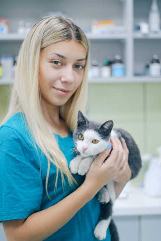Teste Genético para Gatos Marcar Carmo - Teste Genético para Cachorros