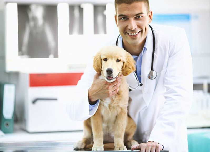Teste Pcr Leishmaniose Canina Agendar Uberlândia - Teste Leishmaniose Canina