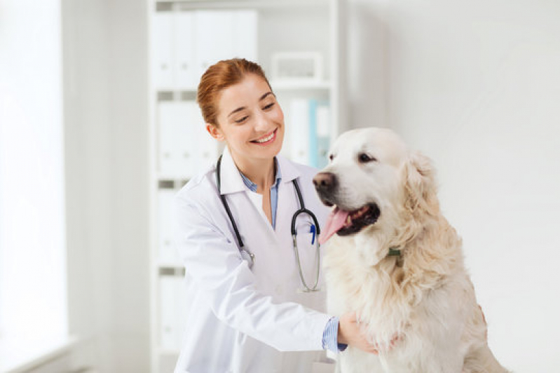 Testes de Parvovírus em Cães Queimados - Teste de Clostridium em Animais