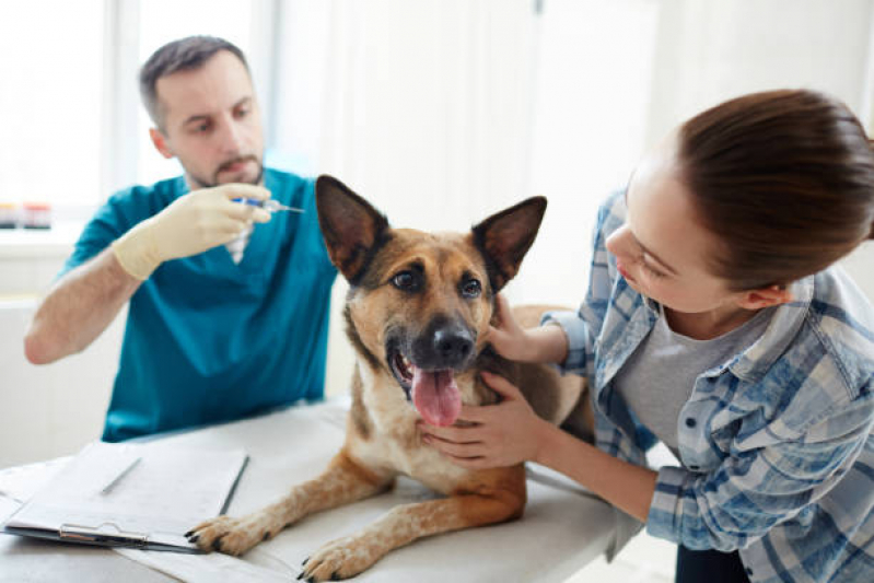 Testes Genéticos para Cachorro Sumidouro - Teste Genético para Cães