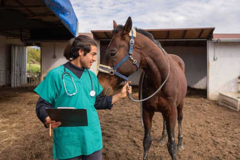 Testes Genéticos para Cavalo Guarapuava - Teste Genético para Cavalo