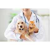clínica especializada em diagnóstico de doença de cachorro Jardinópolis