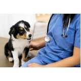clínica especializada em diagnóstico veterinário pcr Miguel Pereira