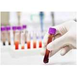 clínica especializada em exame de biologia molecular para animais Angra dos Reis