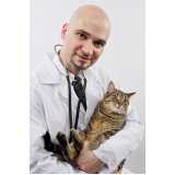 clínica especializada em exame de felv regressor em gatos Campina da Lagoa