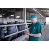 clínica especializada em exame de hemoparasitas em bovinos Itapevi