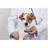 clínica especializada em exame de pcr em cachorro Varre-Sai