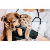 clínica especializada em exame de pcr para cachorros Nilópolis