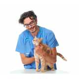 clínica especializada em exame de pcr para gatos Funilândia