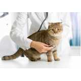 clínica especializada em exame gato fiv e felv Serrinha