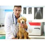 clínica especializada em teste de leishmaniose em cachorros Ouro Branco