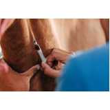 clínica especializada em teste de tritrichomonas em equinos Sapucaia
