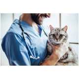 clínica especializada em teste gato fiv e felv Zona Oeste