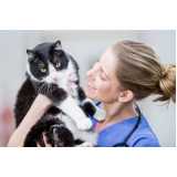 clínica especializada em teste genético em gatos Americana