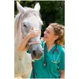 clínica especializada em teste genético para cavalos Serrana