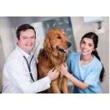 clínica especializada em teste pcr leishmaniose canina Cantagalo