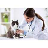 diagnóstico pcr veterinário Uberaba