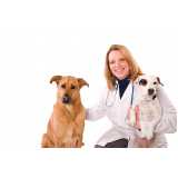 diagnóstico veterinário de doenças infecciosas Batatais