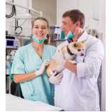 endereço de laboratório de análises veterinárias Vassouras