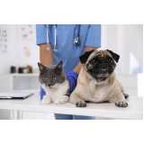 endereço de laboratório veterinário popular Itapetininga