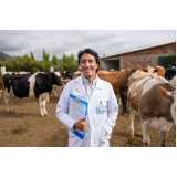 exame de brucelose em bovinos marcar Nilópolis