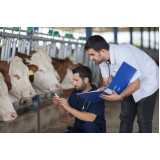 exame de brucelose em bovinos Sooretama