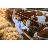 exame de hemoparasitas em bovinos marcar Silva Jardim