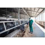 exame de hemoparasitas em bovinos Barreiras