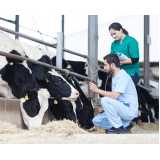 exame de pcr em bovinos Condominio Jardins Veneza