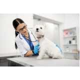 exame de pcr em cachorro clínica Uberlândia