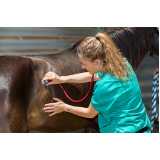 exame de pcr para animais clínica Itapetininga