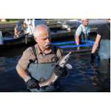 exame de piscicultura em pescados clínica Uberlândia