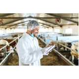 exame de produção em bovinos Atibaia