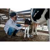 exame de trypanosoma vivax em bovinos marcar Porto Real