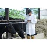 exame especializado em bovinos Japeri