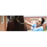 exame genético em equino clínica Piraí