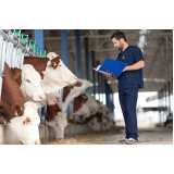 exame neurológico em bovinos Vinhedo