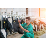exames de produção em bovinos Sergipe