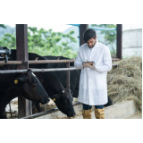 exames de salmonella em bovinos Zona Norte