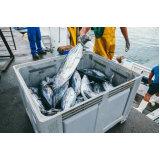 exames em pescados Tanguá
