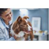laboratório de análises veterinárias contato Cantagalo