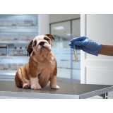laboratório veterinário contato Barreiras