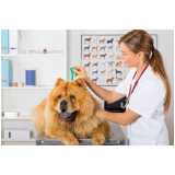 onde fazer diagnóstico da doença do carrapato canino Vassouras