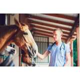 teste de diarreia em equinos agendar Belo Vale