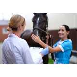 teste de hypp em equinos clínica Muriae